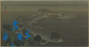 Karpfen, Edo-Zeit, frühes 19. Jahrhundert von Kuroda Toko
