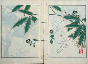 Der Hase, aus einer Sammlung der Werke des Künstlers, veröffentlicht von Kobyashi Bunscichi im Jahr 1901 von Kurokawa Yasusada Kigyoku