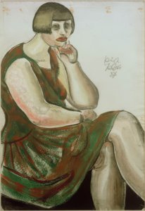 Ria - die Robbenschildkröte