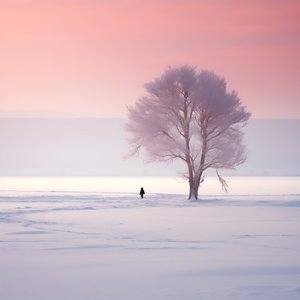Das einhundertfünfundvierzigste Bild seit es Leben auf der Erde gibt 2