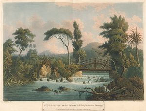 Der Cabaritta-Fluss, aus 