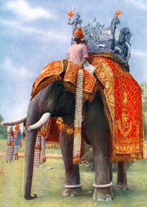 Ein majestätischer Elefant bei Bengalens Hauptfestversammlung, Indien, 1922 von L Barber