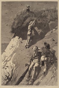 Überfall auf eine Sandschwalbenkolonie - "Wie viele Eier?" von Lagarde after Winslow Homer