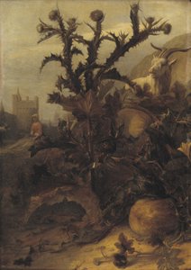 Distel, Kürbis und eine Ziege