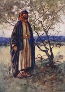 Menschen Ägyptens: Beduinen-Araber, Bedawi von Lance Thackeray