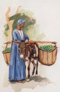 Menschen von Ägypten: Gemüsehändler, Khodari von Lance Thackeray