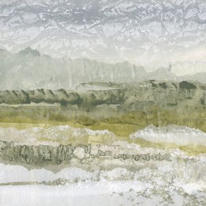Nebelige grüne Landschaft