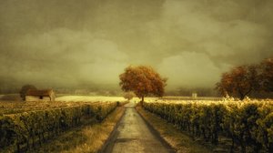 Herbstlicher Weinbergweg von Lars van de Goor †