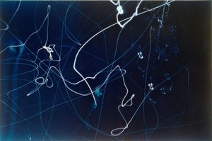 Ohne Titel von Laszlo Moholy Nagy