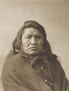 Tauber Stier, ca. 1880