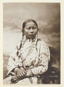 Geflecktes Rehkitz, Cheyenne-Braut