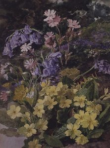 Studie von Blumen