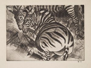 Zebras, veröffentlicht 1930