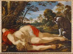 Adonis mort