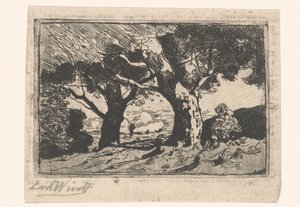 Landschaft mit zwei großen Bäumen