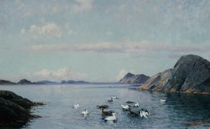 Südküste mit Seevögeln von Lauritz Haaland