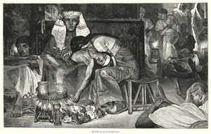 Tod des Erstgeborenen: die letzte der zehn Plagen Ägyptens (Lithografie) von Lawrence (after) Alma Tadema