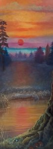 Nordlicht von Lee Campbell