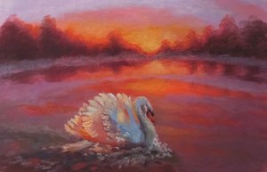 Vorwärts, Schwan schwimmt, 2024