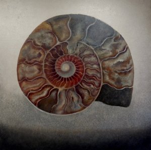 Silberne Ammonit von Lee Campbell