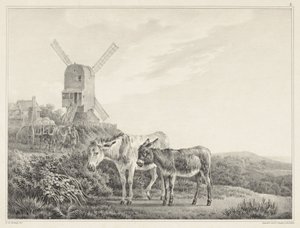 Zwei Esel in einer Landschaft bei einer Mühle