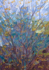 Zaubernuss in Blüte, 2015 von Leigh Glover