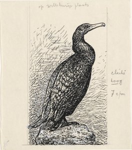 Kormoran von Leo Gestel