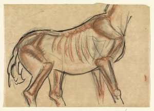 Skelett eines Pferdes von Leo Gestel