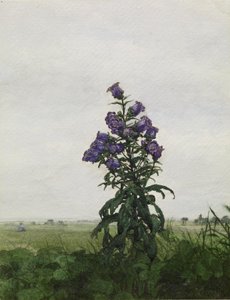 Glockenblume vor einer Landschaft