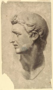 Zeichnung, Studie eines klassischen Männerkopfes (nach einem Gipsabguss) von Leon Dabo