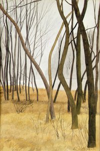 Bäume von Leon Spilliaert