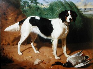 Porträt eines Hundes von Leon Viardot