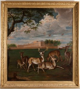 Damwild im Hyde Park von Leonard (style of) Knyff