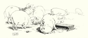 Ein Schwein mit langem Schwanz oder kurzem Schwanz von Leonard Leslie Brooke