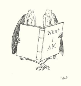 In Johnny Crows Garten von Leonard Leslie Brooke