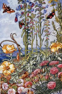 Illustration aus 