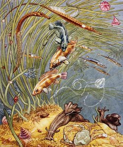Illustration aus 