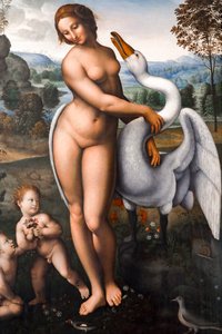 Leda und der Schwan