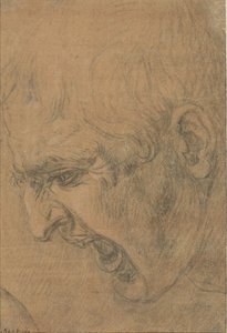 Kopf eines schreienden Mannes von Leonardo da Vinci (follower of)