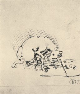 Ein Einhorn taucht sein Horn ins Wasser, um 1480, 1945 von Leonardo da Vinci