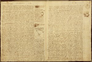 Eine Seite aus dem Codex Leicester, 1508-12