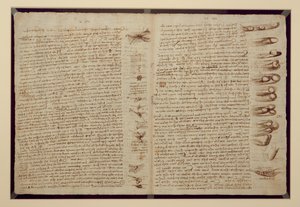 Eine Seite aus dem Codex Leicester, 1508-12 von Leonardo da Vinci