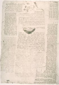Anatomiestudien von Leonardo da Vinci