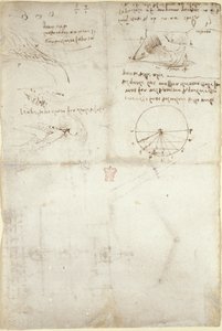 Drei Notizen und Skizzen über Wasser; ein Diagramm über den Vogelflug, ca. 1500-5 von Leonardo da Vinci