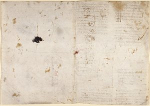 Zeichnungen über mechanische Kräfte, Schwerkraft, Bewegung, Optik und Astronomie, mit verschiedenen arithmetischen und geometrischen Propositionen von Leonardo da Vinci