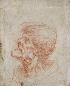 Karikatur Kopfstudie eines alten Mannes, ca. 1500-05 von Leonardo da Vinci