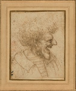 Karikatur eines Mannes mit buschigem Haar von Leonardo da Vinci
