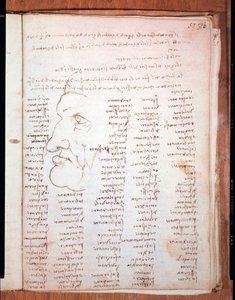 Codex Trivulziano von Leonardo da Vinci (1452 - 1519) - Trivulziana-Bibliothek, Mailand