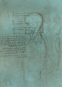 Zeichnung zur Theorie der Proportionen der menschlichen Figur, um 1472-1519, 1883