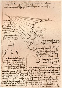 Zeichnung eines männlichen Kopfes, Illustration der Malpraxis, um 1472-1519